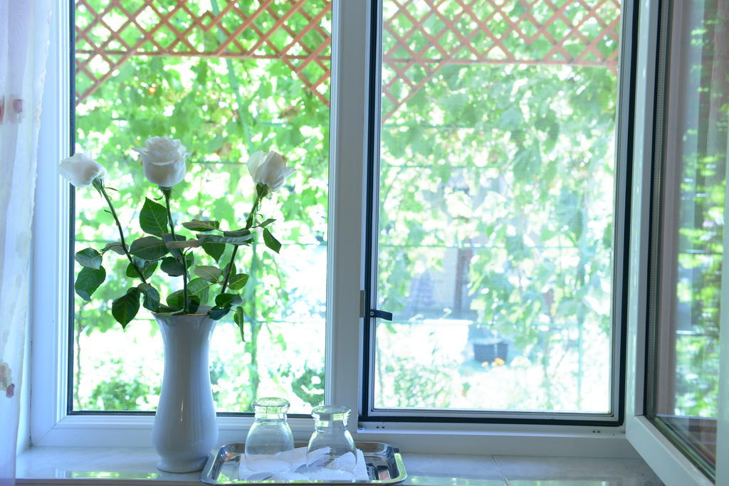 Hotel Casa Boby à Murighiol Extérieur photo